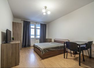 Аренда квартиры студии, 30 м2, Санкт-Петербург, проспект Энергетиков, 9к1, муниципальный округ Большая Охта