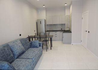 Сдаю в аренду 1-ком. квартиру, 45 м2, Брянск, улица Ильи Иванова, 3А