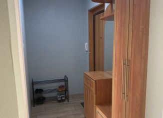 Сдается в аренду однокомнатная квартира, 34 м2, Сарапул, Лесная улица, 22