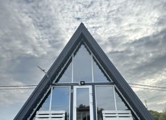 Сдача в аренду дома, 40 м2, деревня Звизжи, Центральная улица, 5В