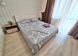 Сдается в аренду 1-комнатная квартира, 48 м2, Свердловская область, улица Циолковского, 29