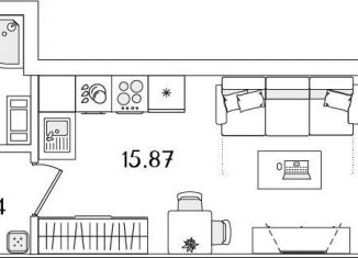 Продаю квартиру студию, 24.8 м2, Санкт-Петербург, метро Лесная