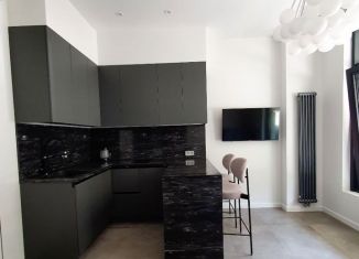 Продажа 2-комнатной квартиры, 38.6 м2, Сочи, переулок Горького, 24, ЖК Сокол