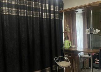 1-комнатная квартира на продажу, 24.9 м2, Глазов, улица Драгунова, 70