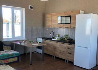 Продается дом, 40 м2, деревня Гремячка, Молодёжная улица