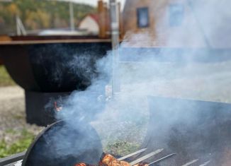 Сдается дом, 70 м2, село Байки, Цветочная улица, 10