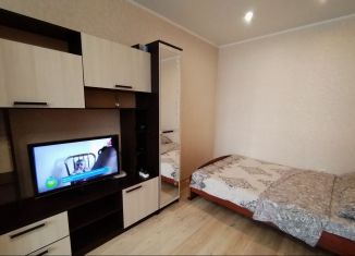 Сдается однокомнатная квартира, 44 м2, Орёл, улица Революции, 3к1, Железнодорожный район