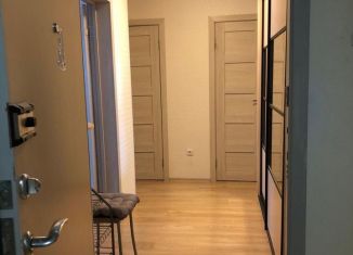 Продажа 2-комнатной квартиры, 50.3 м2, Мурино, Новая улица, 17к1, ЖК Новое Мурино