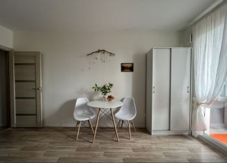 Квартира на продажу студия, 20.1 м2, Санкт-Петербург, метро Озерки