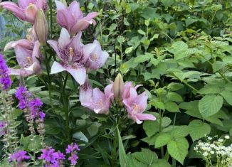 Продается земельный участок, 4 сот., Руэмское сельское поселение