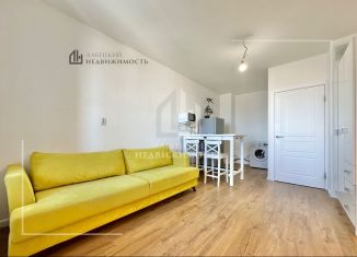 Продам квартиру студию, 23.3 м2, Мурино, Екатерининская улица, 6к1, ЖК Виктория