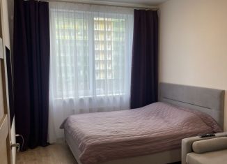 Сдам в аренду однокомнатную квартиру, 32 м2, Мурино, Воронцовский бульвар, 20к2, ЖК Гринландия-2