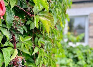 Продам дом, 75 м2, поселок городского типа Благовещенка, Комсомольская улица, 92