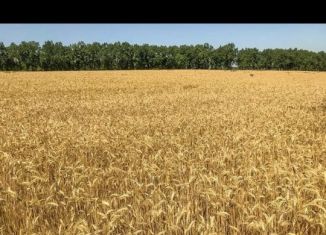 Продажа земельного участка, 600 сот., Родниковское сельское поселение, площадь Ленина