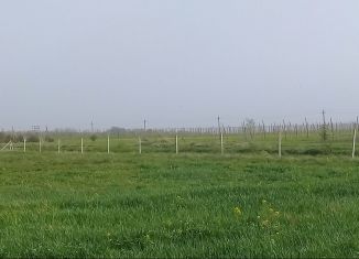 Продажа участка, 350 сот., станица Новодмитриевская