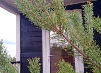 Дом на продажу, 30 м2, деревня Непряха, Садовая улица, 6