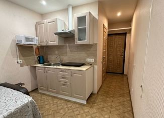 Продажа квартиры студии, 19.5 м2, рабочий посёлок Лопатино, Сухановская улица, 13, ЖК Государев Дом