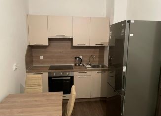 Аренда 1-ком. квартиры, 36 м2, Санкт-Петербург, Торфяная дорога, 17к6, метро Пионерская