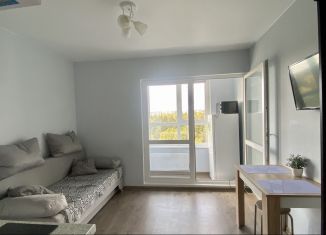 Продажа квартиры студии, 19 м2, рабочий посёлок Лопатино, Сухановская улица, 26, ЖК Государев Дом