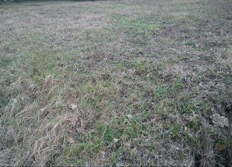 Земельный участок на продажу, 406 сот., Чистенское сельское поселение