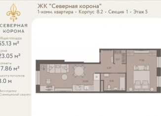 Продажа 1-комнатной квартиры, 55.1 м2, Санкт-Петербург, метро Петроградская