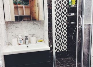 Сдается 2-ком. квартира, 32 м2, Санкт-Петербург, Ланское шоссе, 65, метро Пионерская