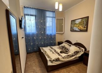 Сдается в аренду 1-комнатная квартира, 27 м2, Сочи, СНТ Здоровье-4, 59, микрорайон Макаренко