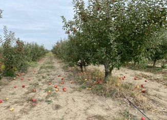 Продажа участка, 6200 сот., село Пруды, Октябрьская улица