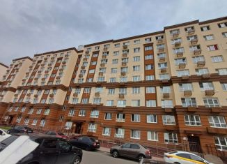 Продается квартира студия, 20 м2, рабочий посёлок Лопатино, Сухановская улица, 28