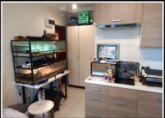 Продается квартира студия, 18.5 м2, Москва, Покровская улица, 17Ак3, метро Некрасовка