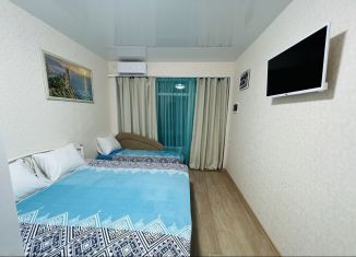 Сдам квартиру студию, 25 м2, село Прибрежное, Набережная улица, 12к2