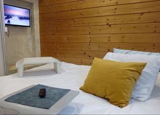 Сдается 2-комнатная квартира, 50 м2, Воронеж, улица Карла Либкнехта, 35, Ленинский район