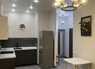 Сдается в аренду 1-ком. квартира, 37 м2, Люберцы, Красноармейская улица, 19