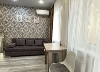 Сдается квартира студия, 30 м2, Краснодар, улица имени Героя Георгия Бочарникова, 8, микрорайон Губернский