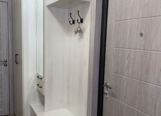 1-комнатная квартира в аренду, 40.5 м2, Воронеж, улица 9 Января, 68/1к1, ЖК Современник