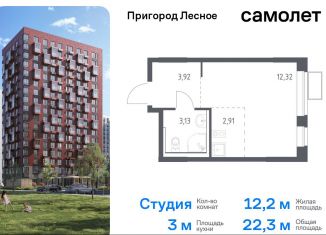 Продается квартира студия, 22.3 м2, деревня Мисайлово, микрорайон Пригород Лесное, к14.1