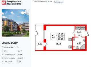 Продаю квартиру студию, 24.8 м2, Санкт-Петербург, улица Струве, 12, муниципальный округ Пулковский Меридиан