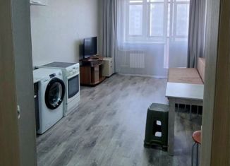 Сдам в аренду квартиру студию, 28 м2, Абакан, улица Кирова, 185к1