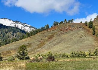 Продажа земельного участка, 14 сот., село Чендек, Зелёная улица