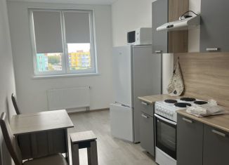 Сдача в аренду 1-комнатной квартиры, 38 м2, Коммунар, Ново-Антропшинская улица, 5к2, ЖК Ново-Антропшино