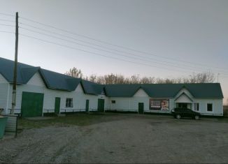 Продается торговая площадь, 380 м2, село Петропавловское, Партизанская улица, 61