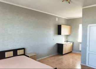 1-комнатная квартира на продажу, 25 м2, село Супсех, Советская улица, 6А