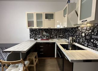 Аренда квартиры студии, 24 м2, Кудрово, проспект Строителей, 20