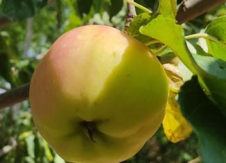 Продам дом, 152 м2, станица Юго-Северная, Южная улица, 291