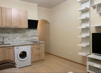 Квартира на продажу студия, 24.4 м2, Кудрово, ЖК Вернисаж