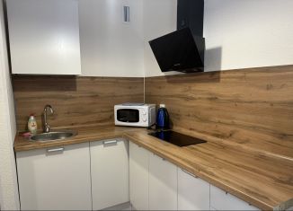 Сдается квартира студия, 30 м2, поселок Бугры, Гаражный проезд, 27к2