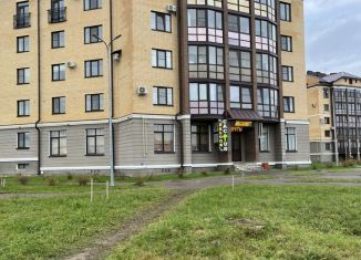 Продажа офиса, 177 м2, деревня Борисовичи, Завеличенская улица, 2