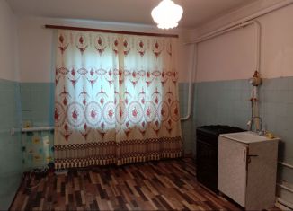 Продам дом, 68 м2, деревня Емишево, Цветочная улица, 16