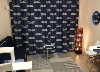 Сдача в аренду квартиры студии, 25 м2, посёлок Стрельна, проспект Будённого, 26к3