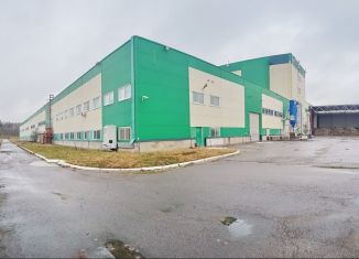 Сдам в аренду производство, 9000 м2, деревня Велигонты, Ропшинское шоссе, 9
